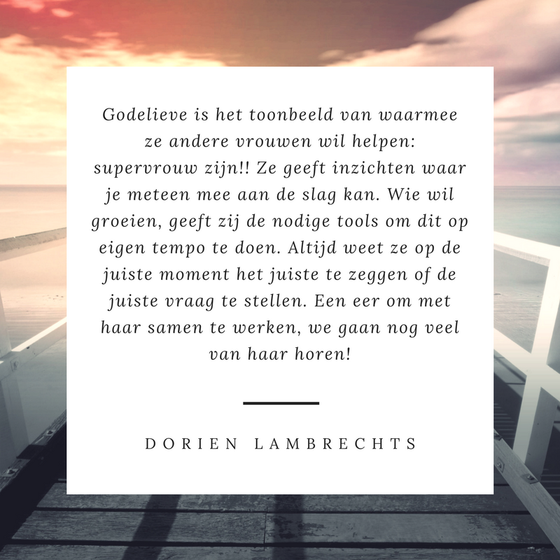 recensie Dorien Lambrechts algemeen