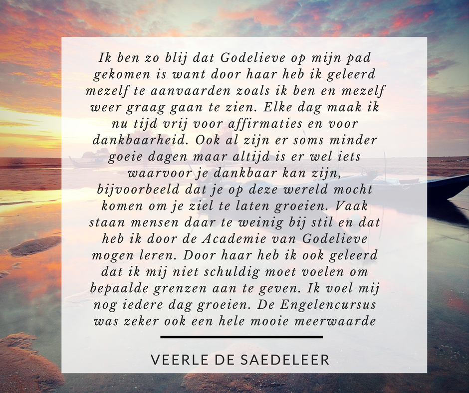 recensie Veerle De Saedeleer 2 GTOA recensie Veerle De Saedeleer 2 GTOA