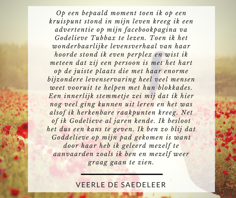 recensie Veerle De saedeleer GTOA recensie Veerle De saedeleer GTOA